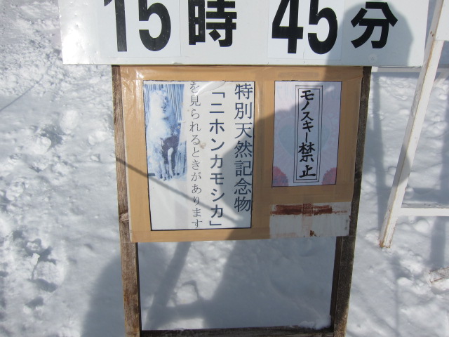 ʐ^008