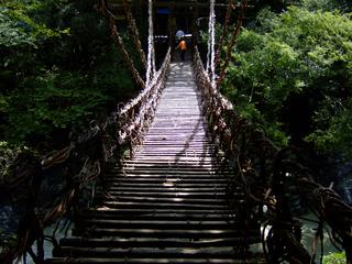 2005-09-08 12:15:20